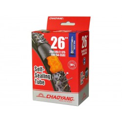 CAMARA 26  V/F CYT SELLANTE