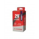 CAMARA 29  V/F 40 CYT