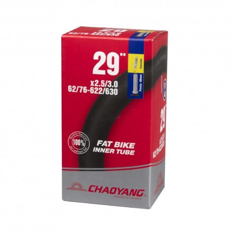 CAMARA 29X2.50/3.00 PRESTA 48 MM DESMONTABLE fabricado por Chaoyang