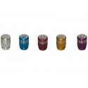TAPONES VALVULA TIPO-V PLATA